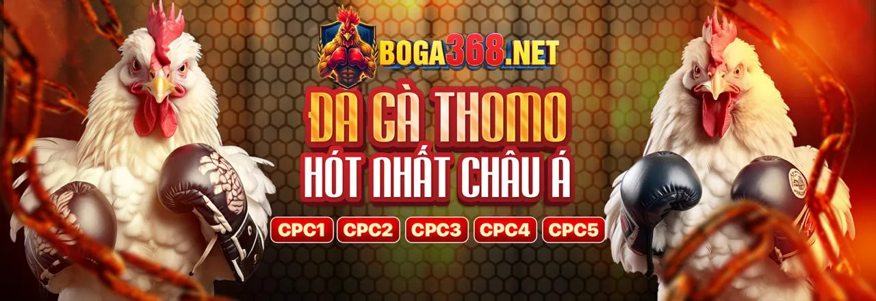Đá Gà Trực Tuyến f8bet casino